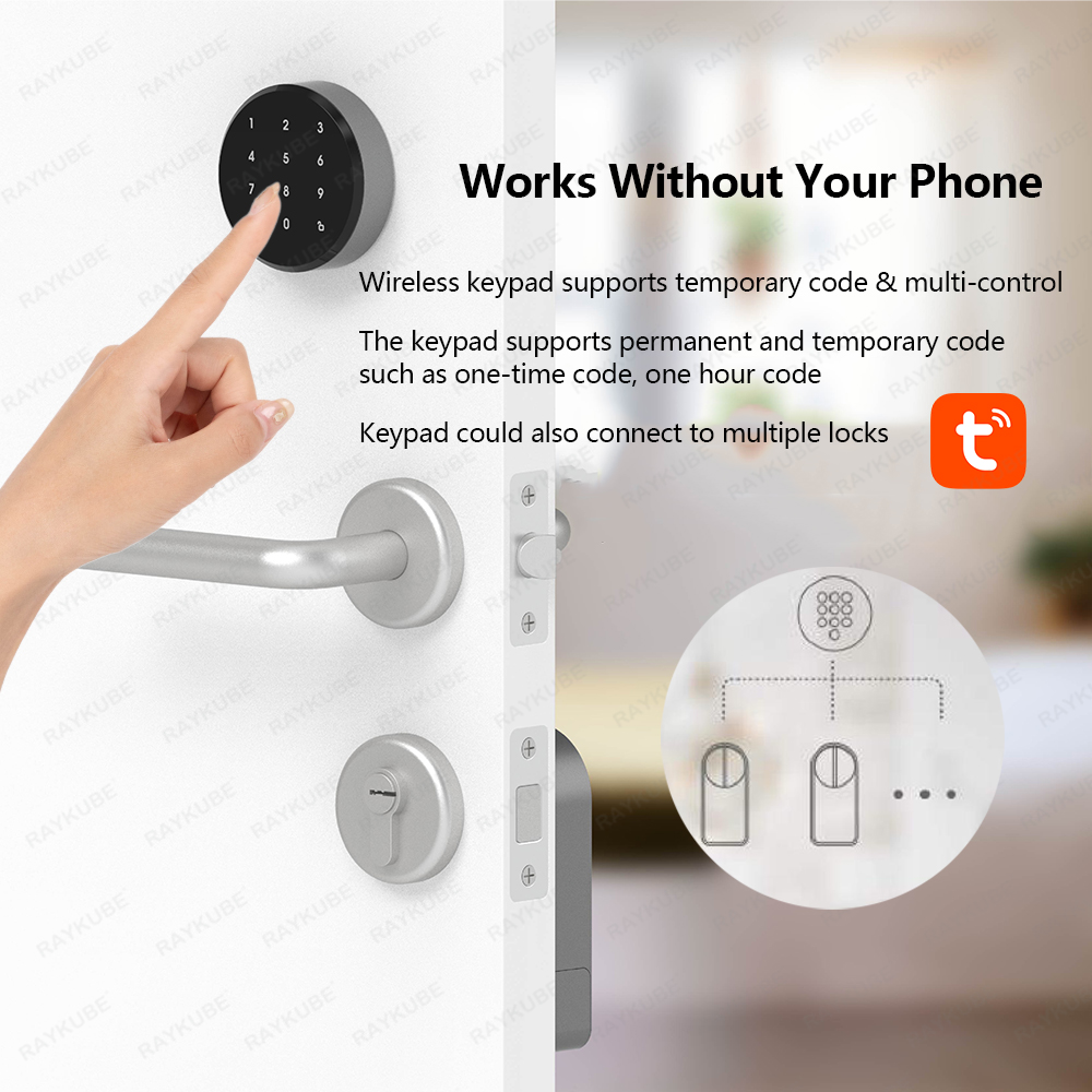 RAYKUBE A1 Pro Tuya BEL Smart  - огляд і ціна Smart Home Ezviz