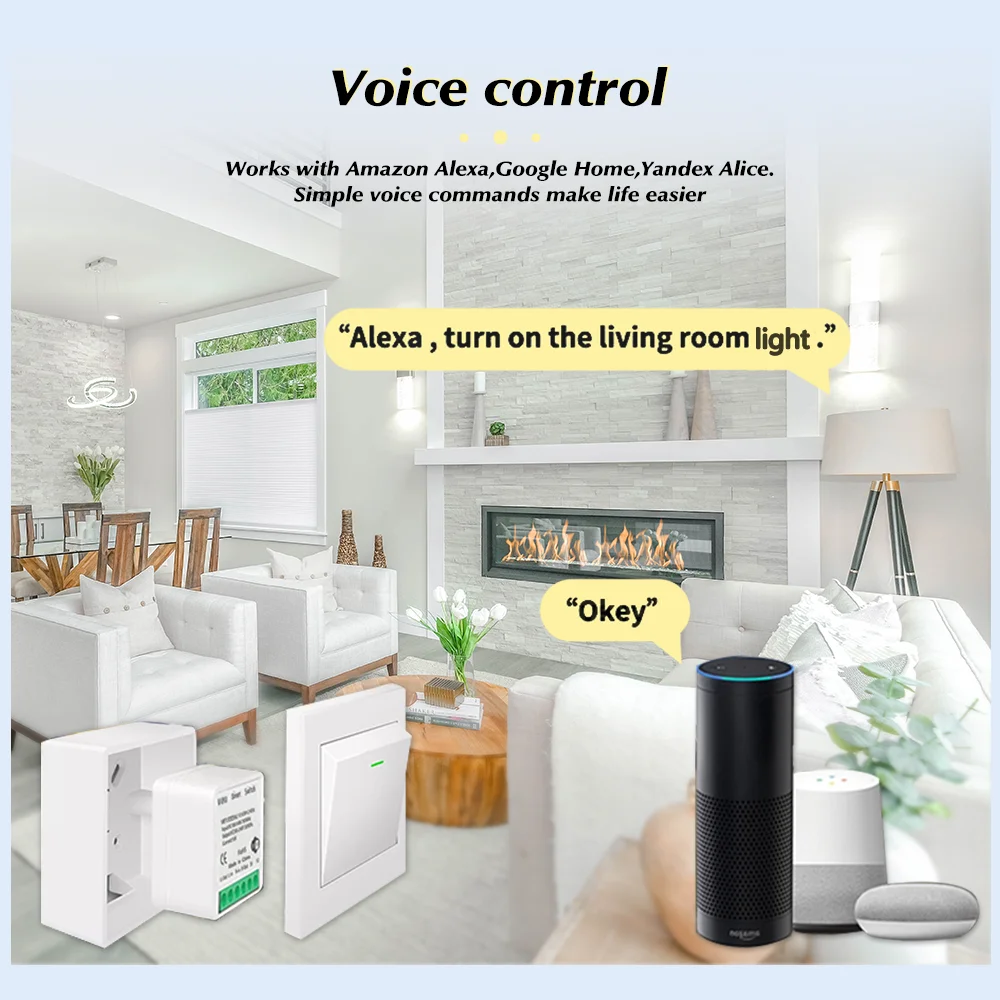 For Tuya Mini Smart WiFi Switc - огляд і ціна Smart Home Voice Control