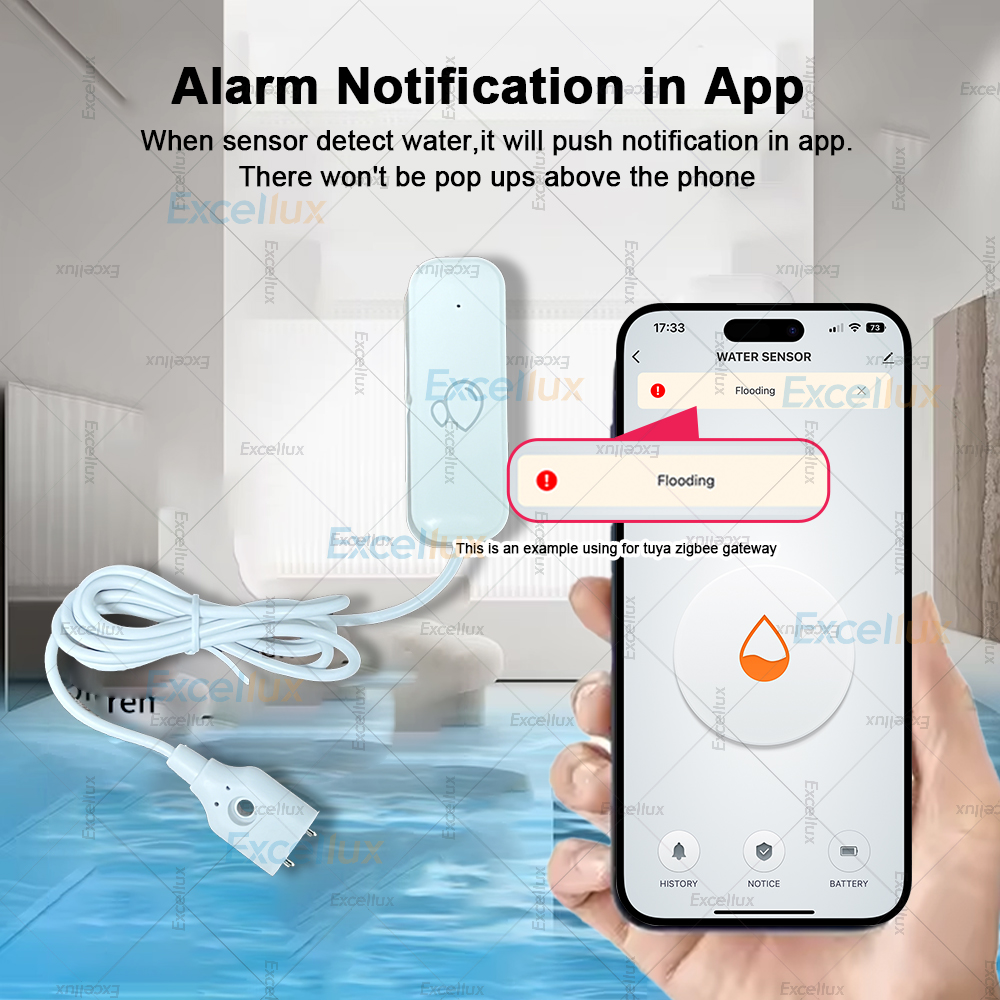 Zigbee Smart Water Leak Sensor - огляд і ціна Smart Home Zentrale
