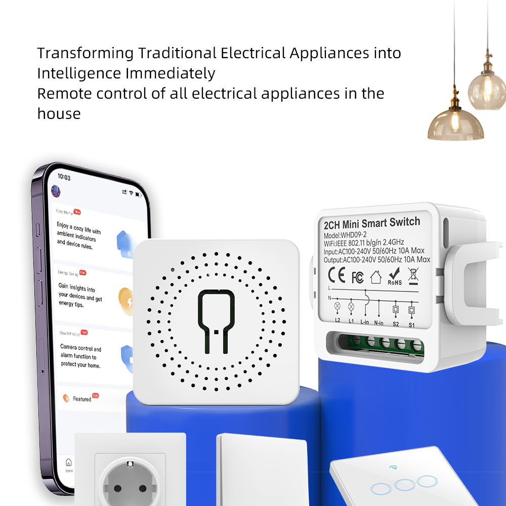 2 Way Tuya smart swtich 2Gang  - огляд і ціна Smart Home Voice Control